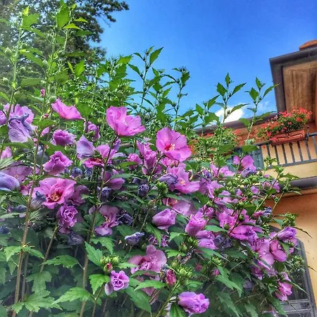 Tacc Vakantiehuis Pietralunga (Umbria)